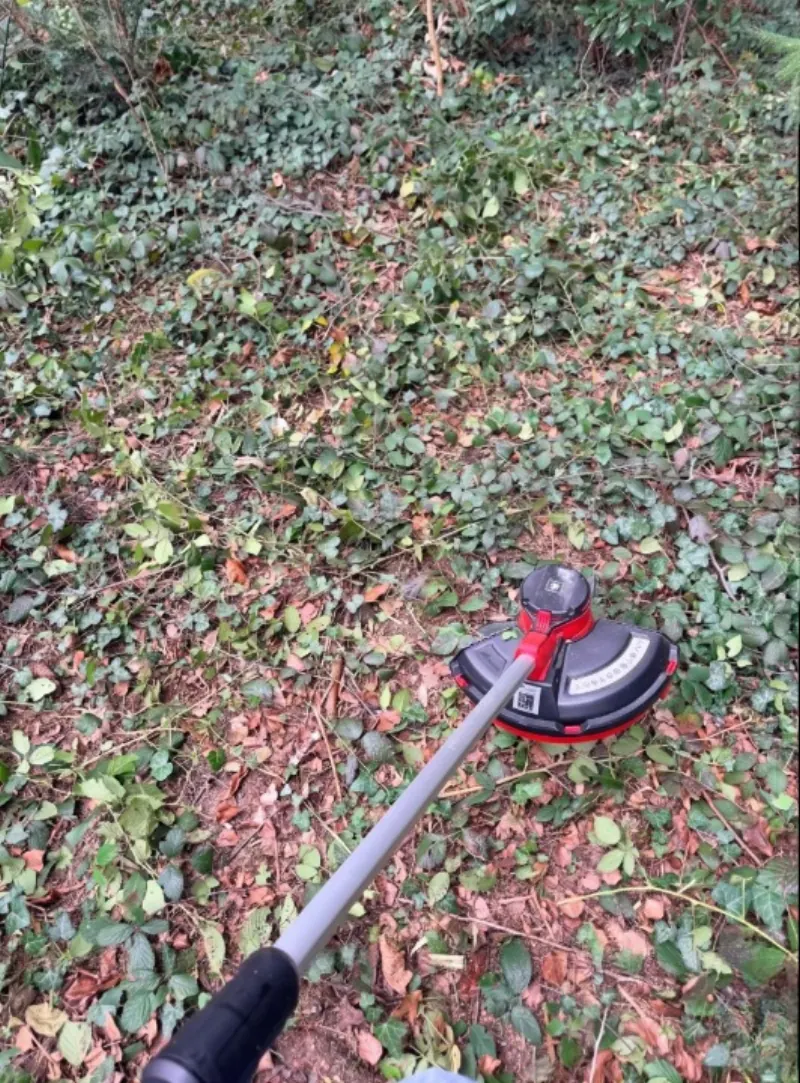 Foto profilo di Andrea P., cliente verificato di Bologna che ha recensito Trim Max Green